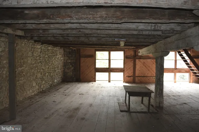 a view of a forest with trees