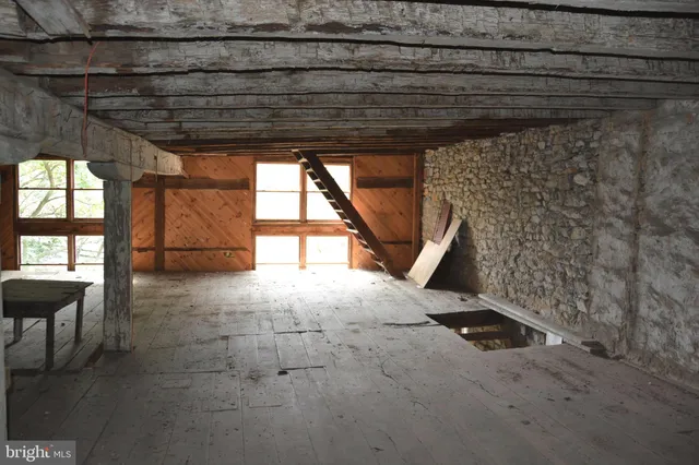 a view of a tree in a yard