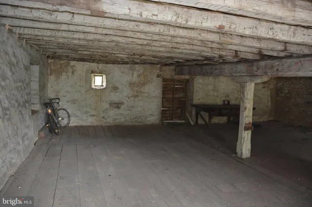 a view of a forest with trees