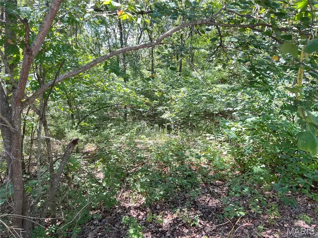 $30,000 | 2084 Sheltered Way, Perryville, MO 63775