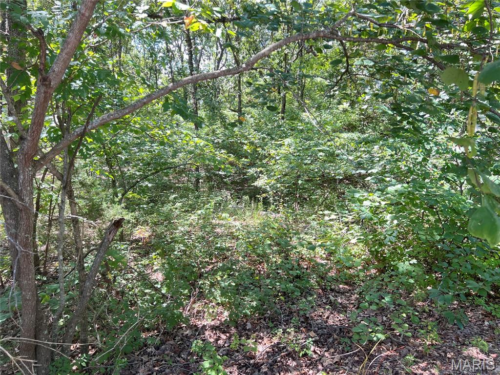 2084 Sheltered Way Perryville, MO 63775 - Photo 3 of 10