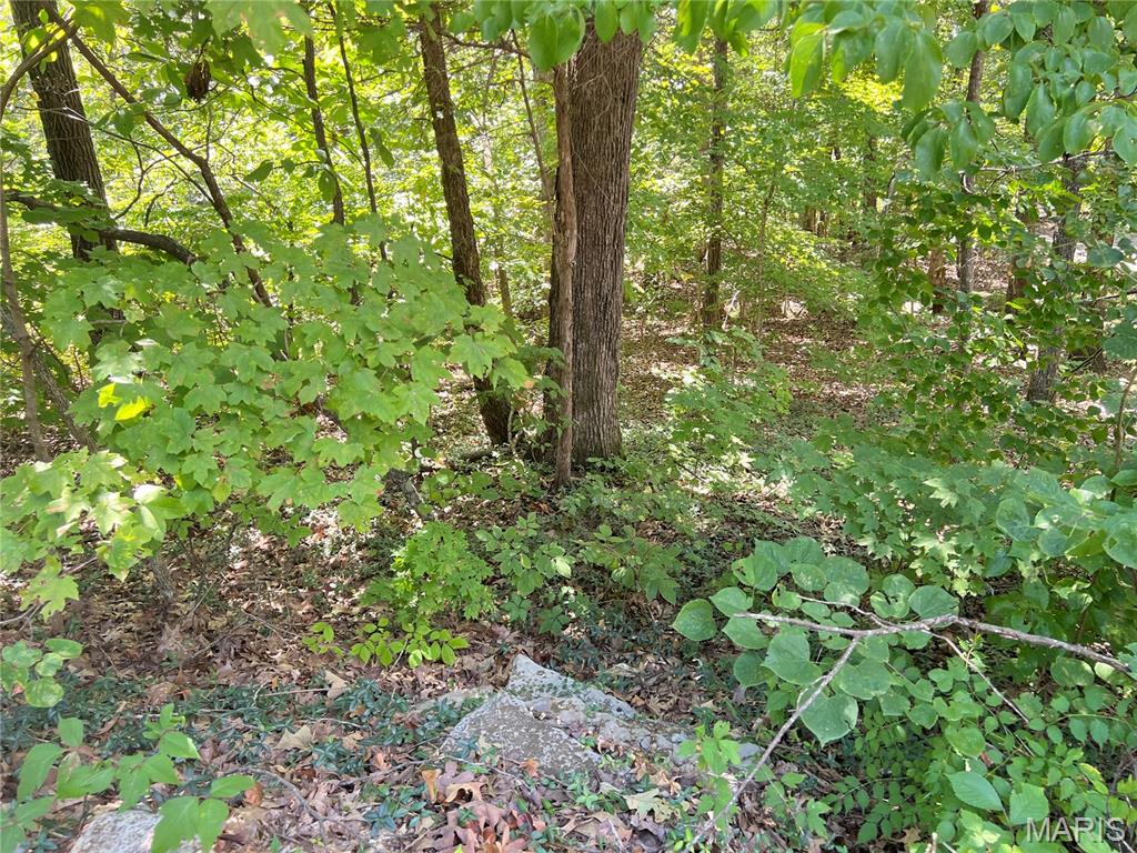 2084 Sheltered Way Perryville, MO 63775 - Photo 5 of 10