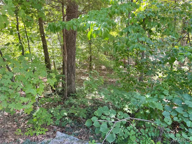 $30,000 | 2084 Sheltered Way, Perryville, MO 63775