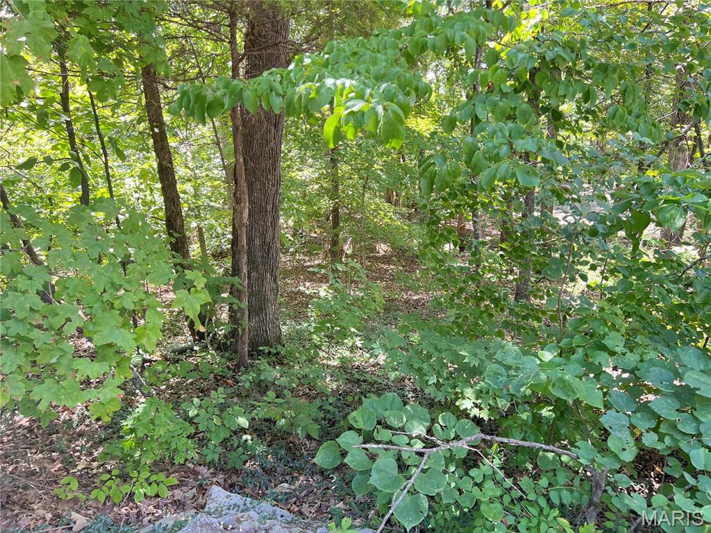 2084 Sheltered Way Perryville, MO 63775 - Photo 6 of 10