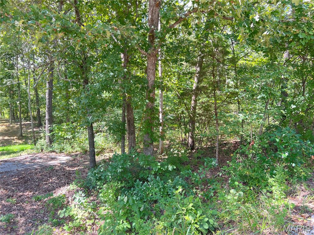 2084 Sheltered Way Perryville, MO 63775 - Photo 8 of 10