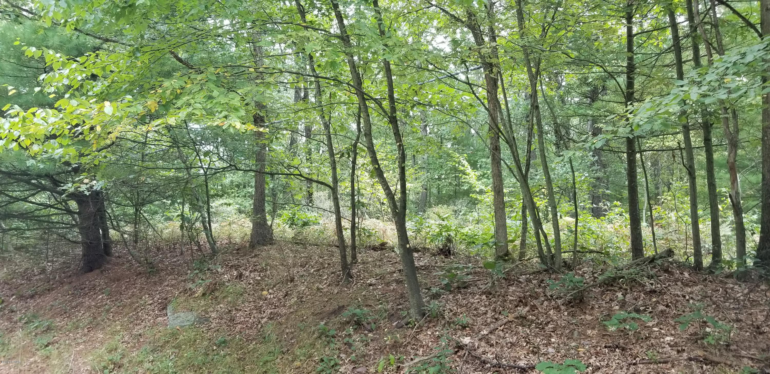 Lot 86 Perry Pond Road Narrowsburg, NY 12764 - Photo 4 of 5 20190916_125640