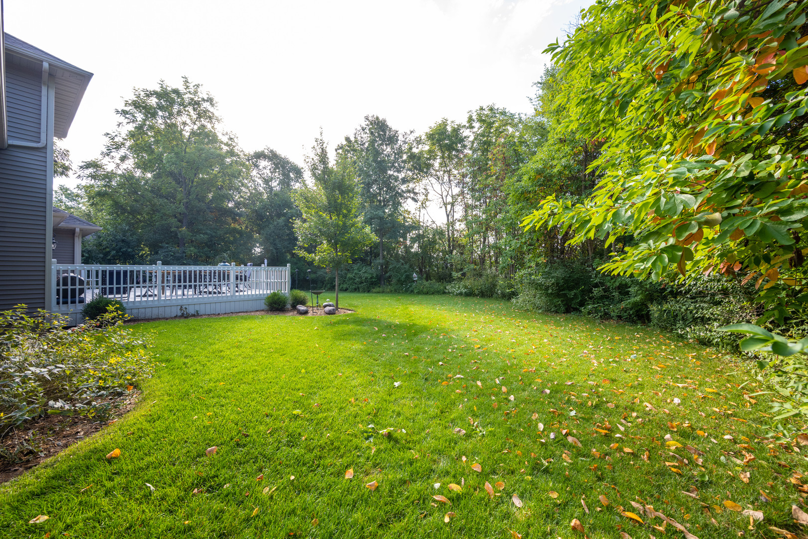 1303 East White Oak Road Mahomet, IL 61853 - Photo 52 of 64 a view of a house with a yard