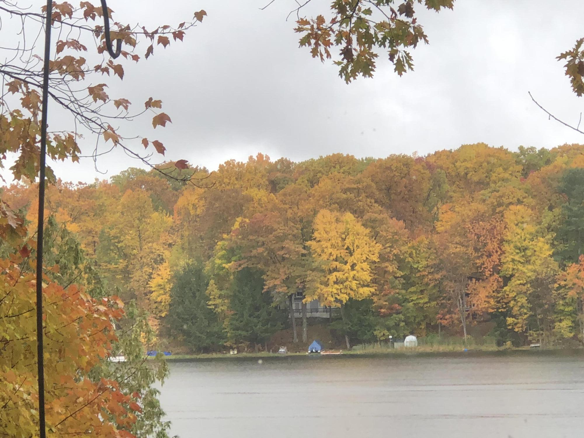 5619 East Deer Road Fountain, MI 49410 - Photo 26 of 27 Fall Colors