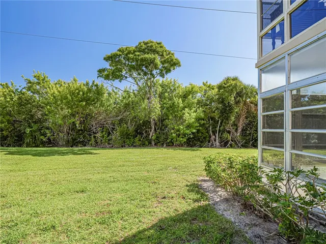 a view of a field with plants and large trees