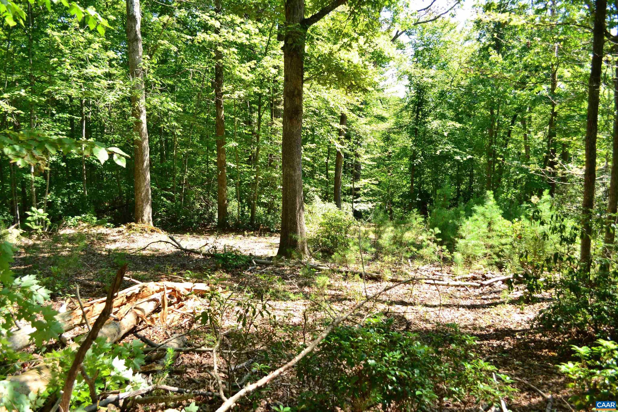 Tbd Damon Road, Unit 2 Schuyler, VA 22969 - Photo 3 of 14 Gallery Image 3