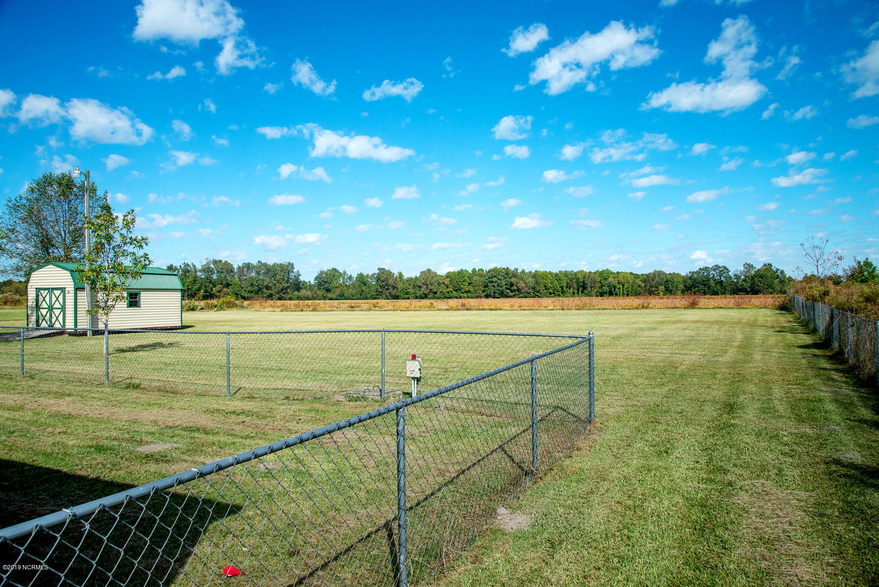 4638 Toddy Road Farmville, NC 27828 - Photo 4 of 38 YARD EXTENDS BEYOND FENCE