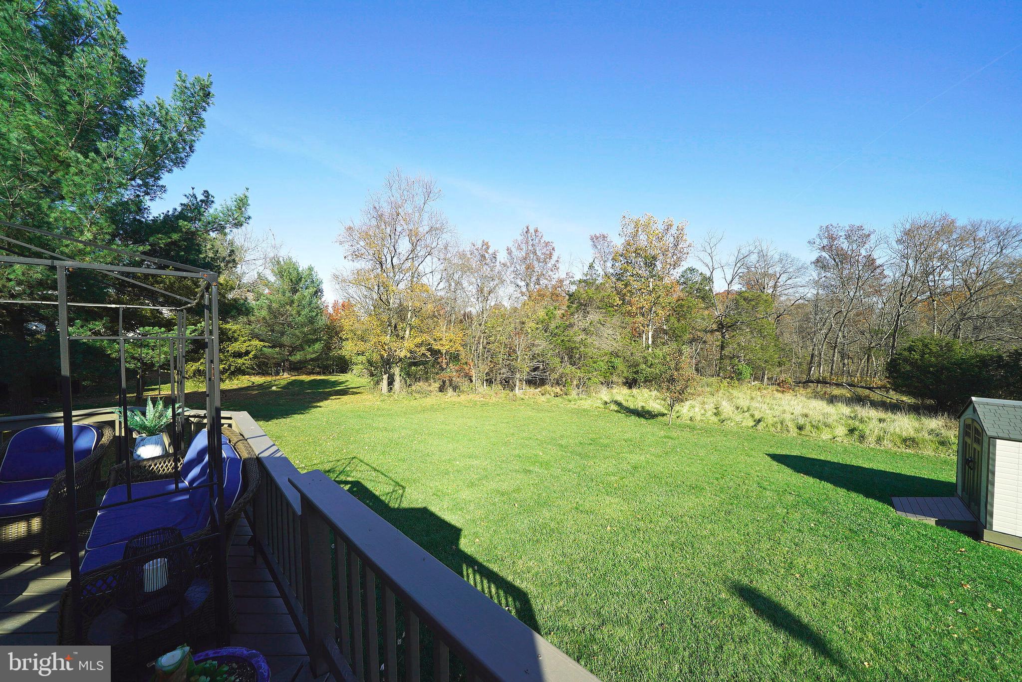 4403 Cub Run Road Chantilly, VA 20151 - Photo 3 of 48 YARD 1