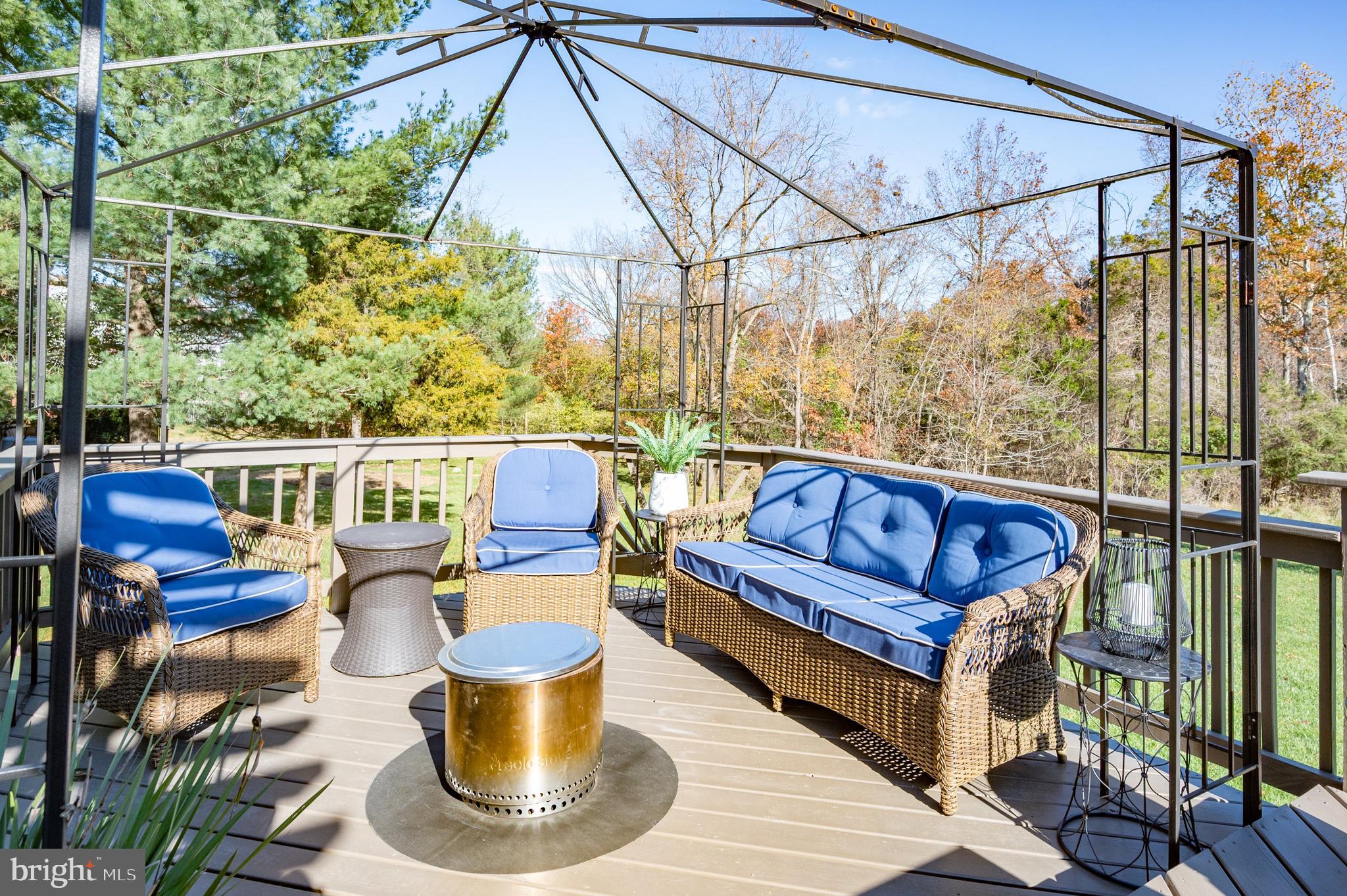 4403 Cub Run Road Chantilly, VA 20151 - Photo 22 of 48 DECK 3
