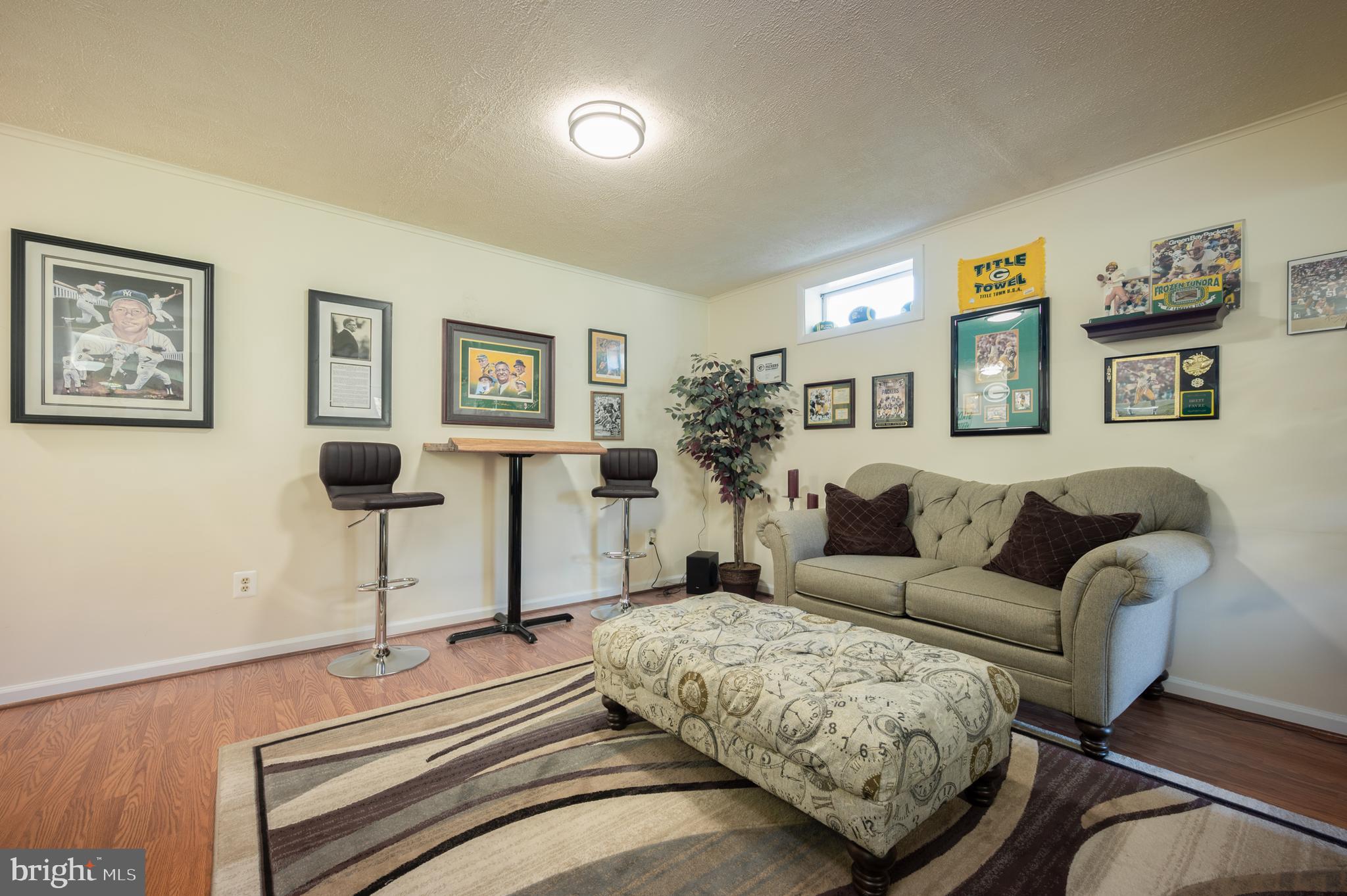 4403 Cub Run Road Chantilly, VA 20151 - Photo 27 of 48 REC ROOM 2