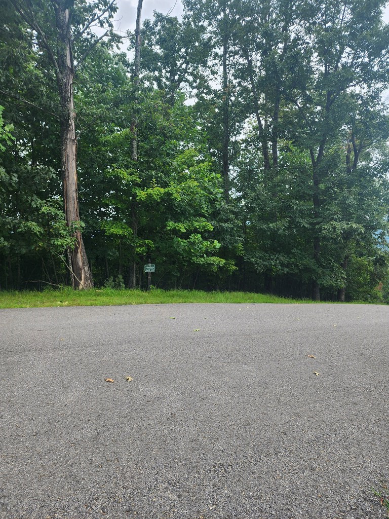 0 Vance Mountain Road Murphy, NC 28906 - Photo 8 of 15 Street View