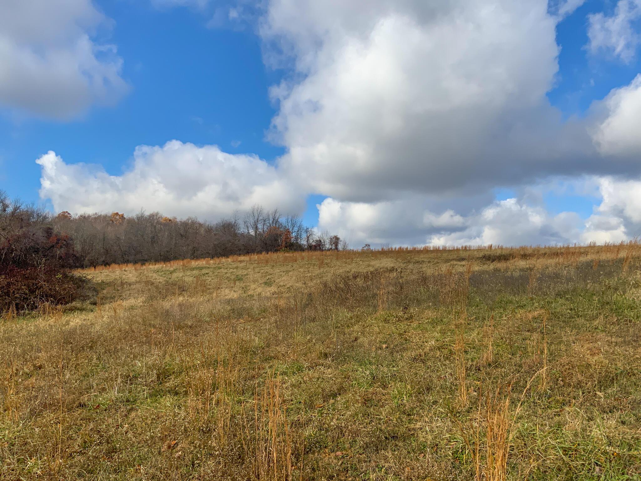 0 Ritchey Road Southeast Newark, OH 43056 - Photo 22 of 24 IMG_4375