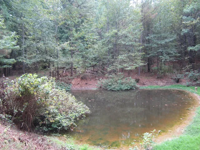 $198,500 | 500 Cr 708 Blue Mountain, Blue Mountain, MS 38610
