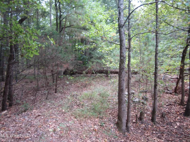 $198,500 | 500 Cr 708 Blue Mountain, Blue Mountain, MS 38610
