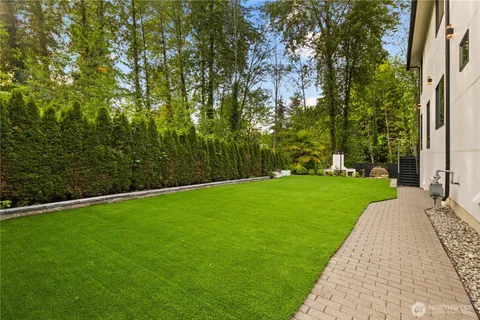 a view of a park with large trees