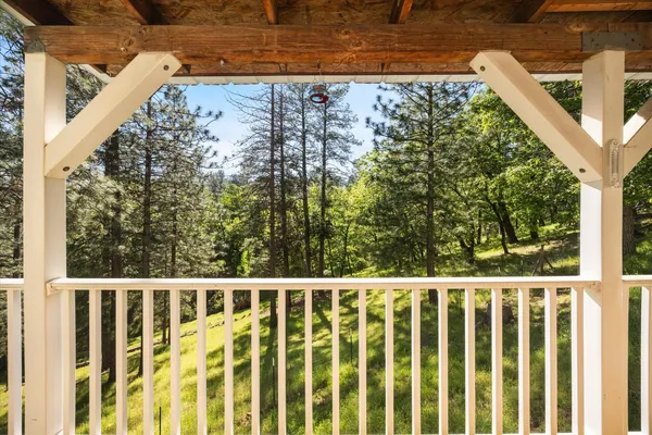 a view of a backyard with plants and trees