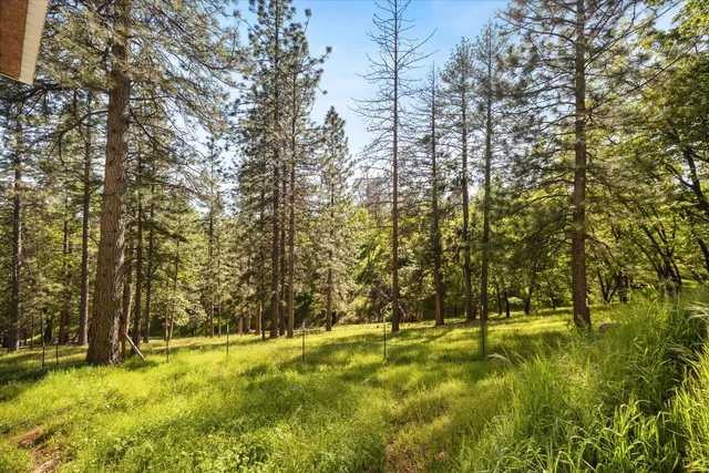 a view of an outdoor space and a yard