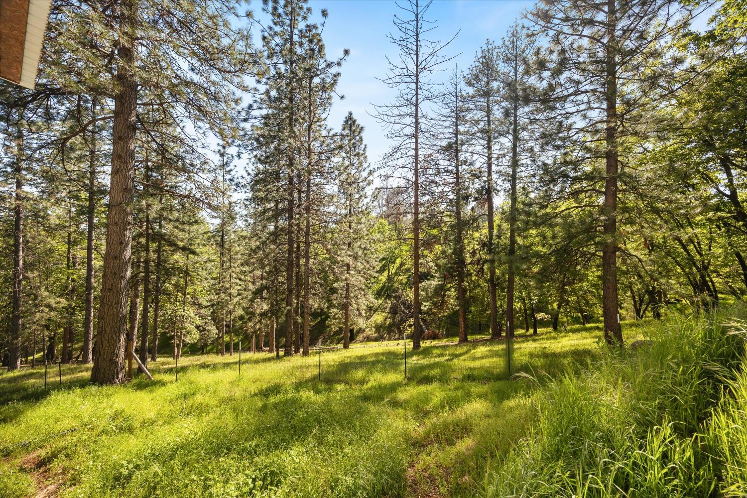 4540 Kruk Trail Placerville, CA 95667 - Photo 42 of 57