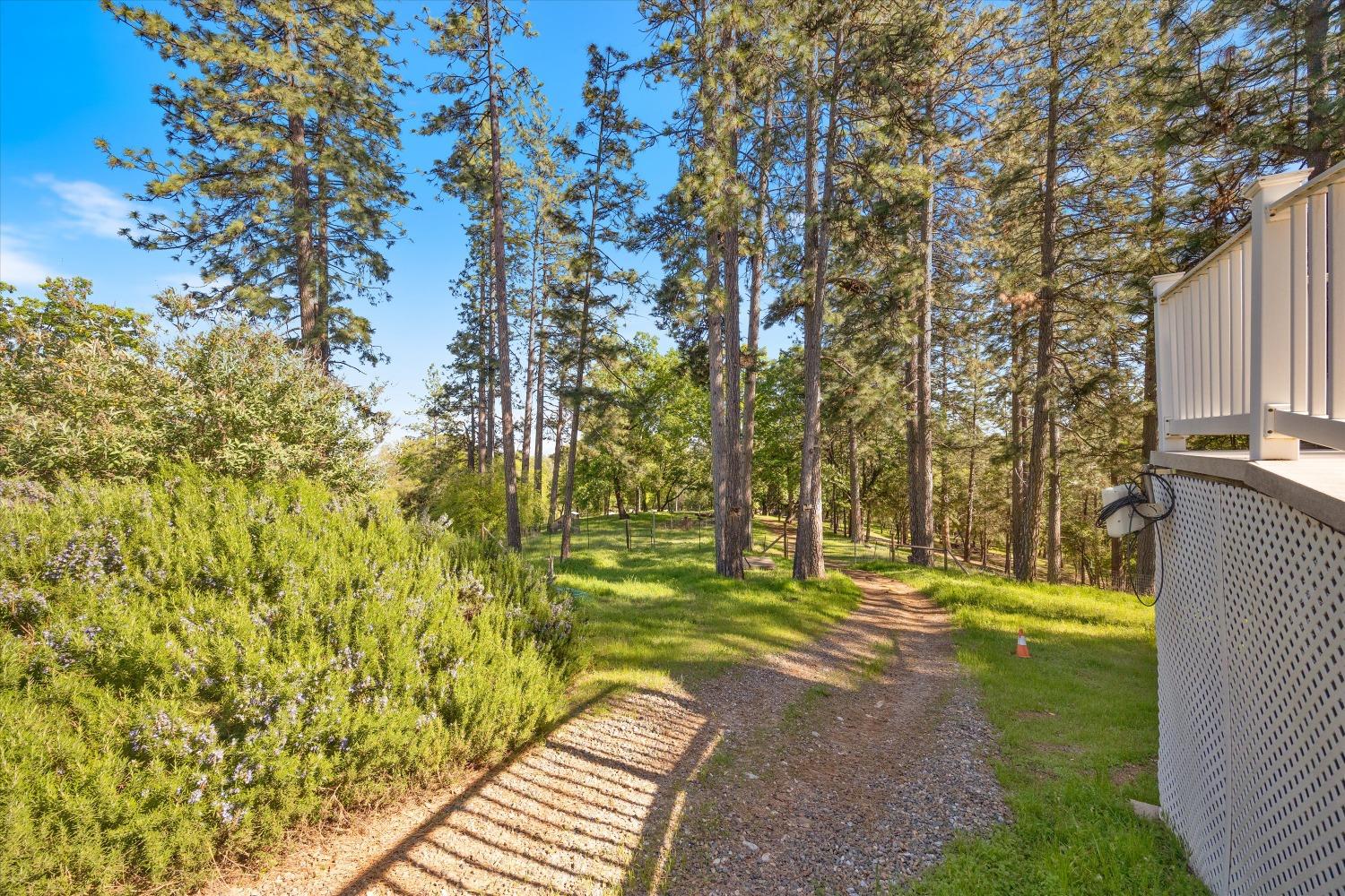 4540 Kruk Trail Placerville, CA 95667 - Photo 43 of 57