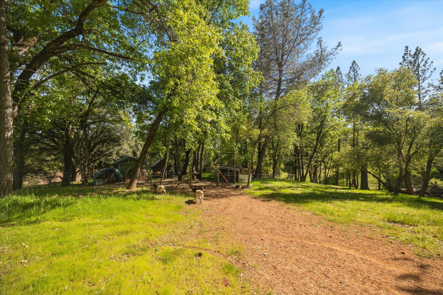 4540 Kruk Trail Placerville, CA 95667 - Photo 46 of 57