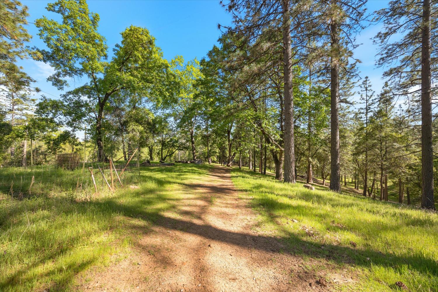 4540 Kruk Trail Placerville, CA 95667 - Photo 47 of 57