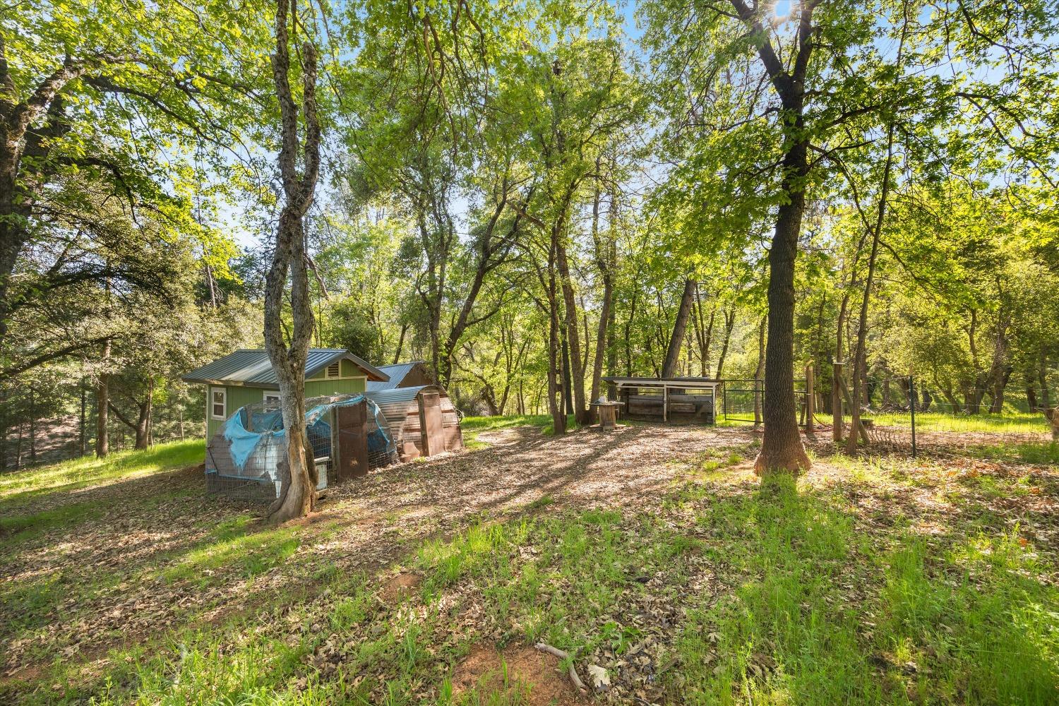 4540 Kruk Trail Placerville, CA 95667 - Photo 48 of 57