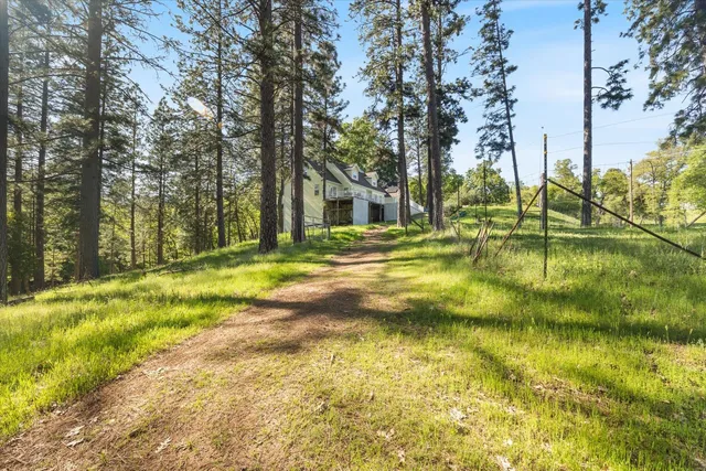 a view of a patio with table and chairs and potted plants