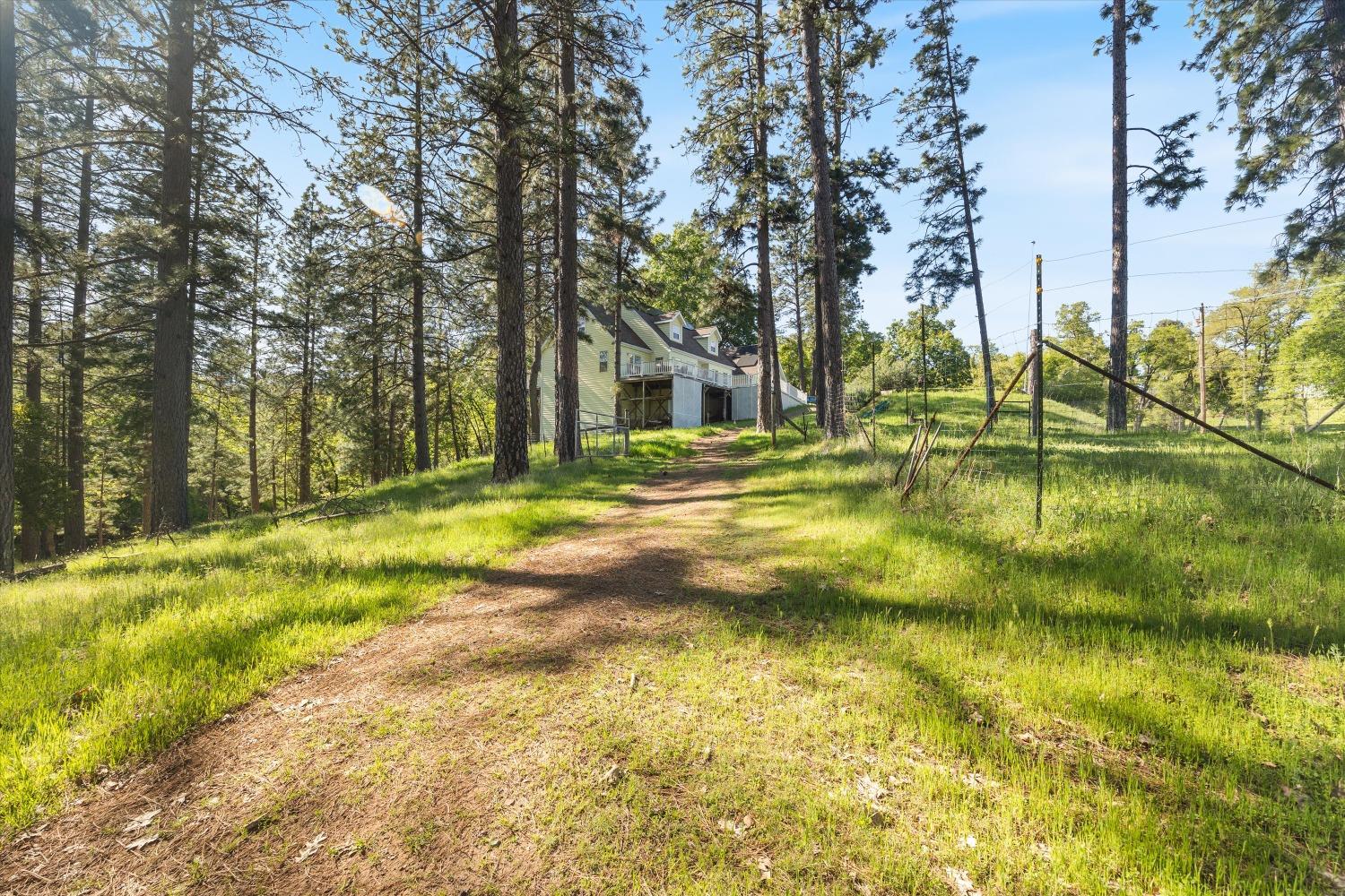 4540 Kruk Trail Placerville, CA 95667 - Photo 49 of 57