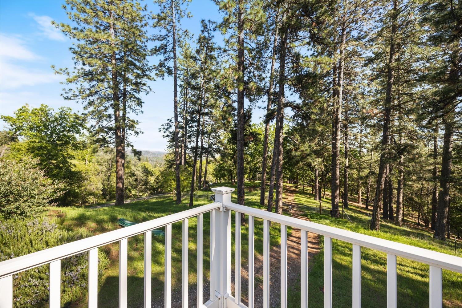 4540 Kruk Trail Placerville, CA 95667 - Photo 6 of 57