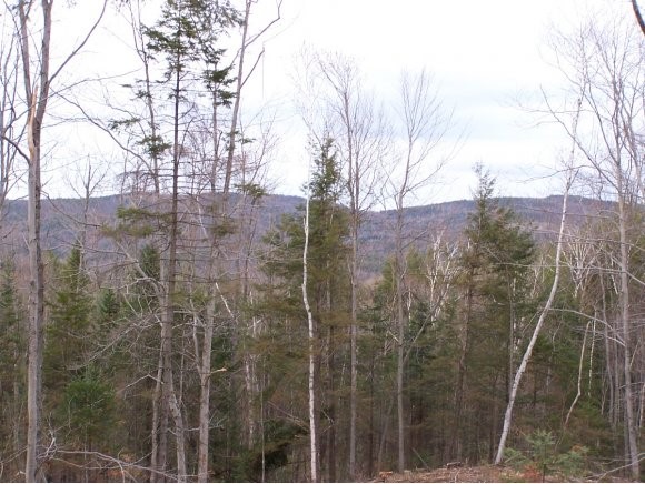 Lot#3 Mt Cardigan Road Alexandria, NH 03222 - Photo 1 of 1 Gallery Image 1