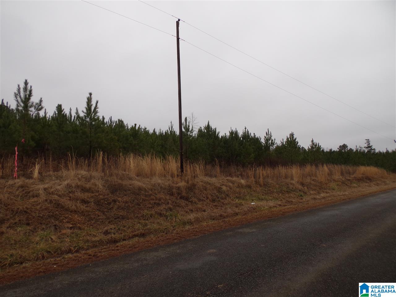 Jackson Trail, Unit 4 Albertville, AL 35950 - Photo 12 of 13