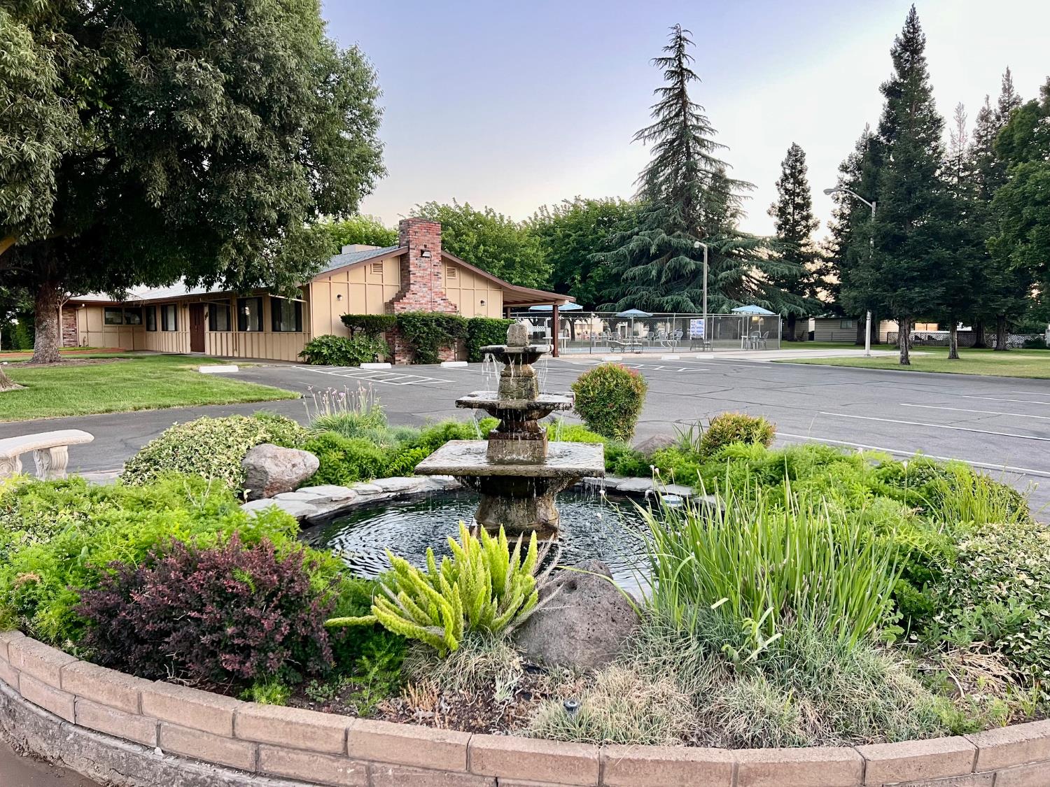 a view of a garden with lawn chairs under an umbrella