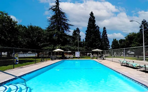 a view of a swimming pool with a patio and a garden