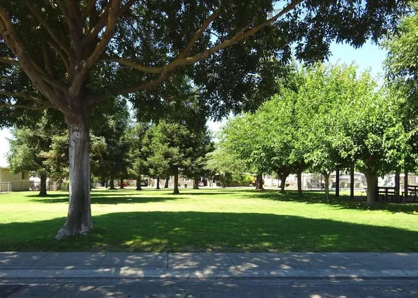 a view of grassy field with benches and trees all around