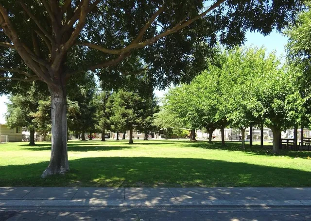 a view of grassy field with benches and trees all around