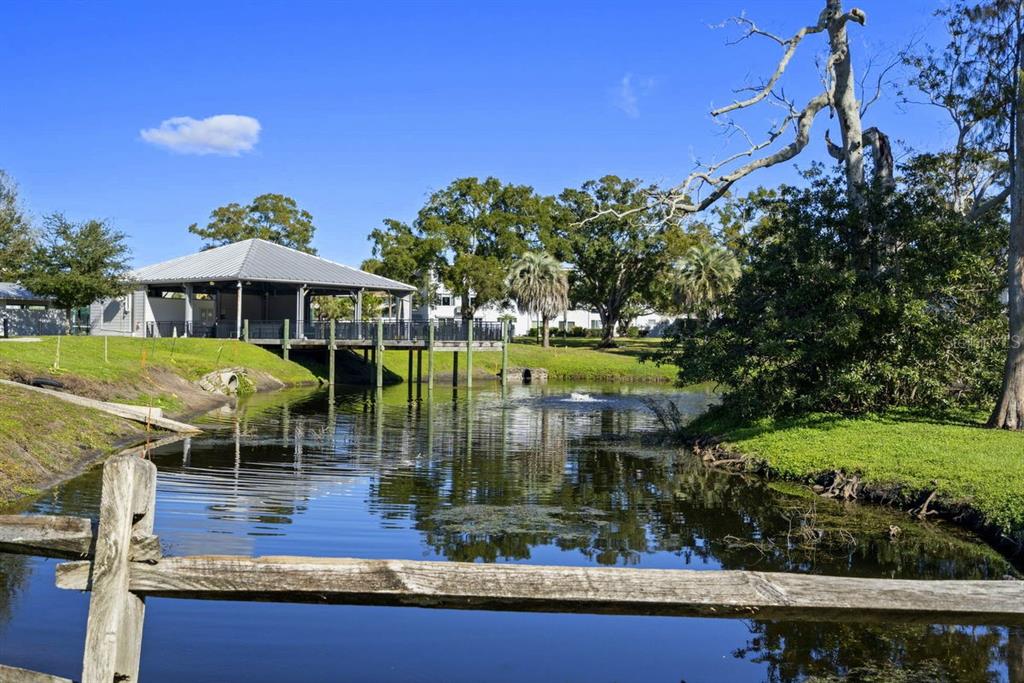 2391 Sumatran Way, Unit 69 Clearwater, FL 33763 - Photo 37 of 50 a view of a swimming pool with a patio