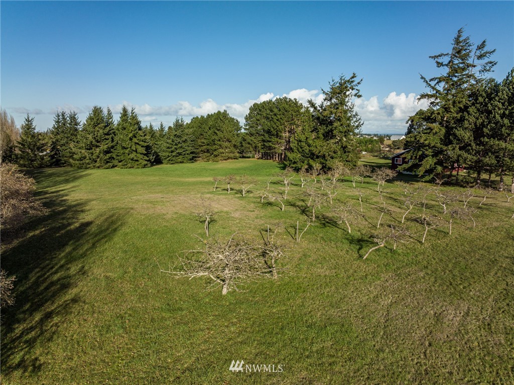 999 Lotzgesell Road Sequim, WA 98382 - Photo 8 of 29 a view of a lake with large trees