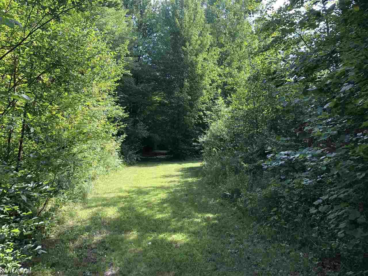 Vacant Fish Road Smiths Creek, MI 48074 - Photo 8 of 15