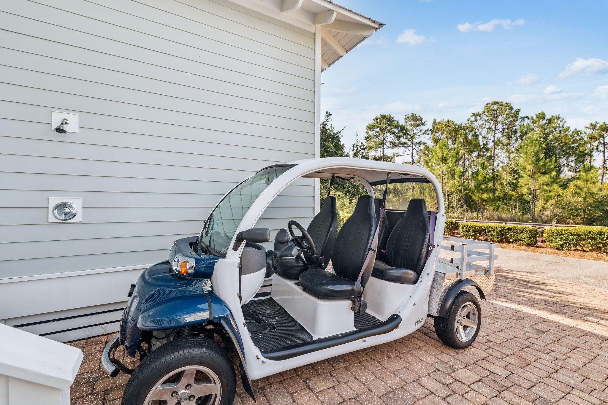844 Sandgrass Boulevard Santa Rosa Beach, FL 32459 - Photo 5 of 74 Gem Golf Cart