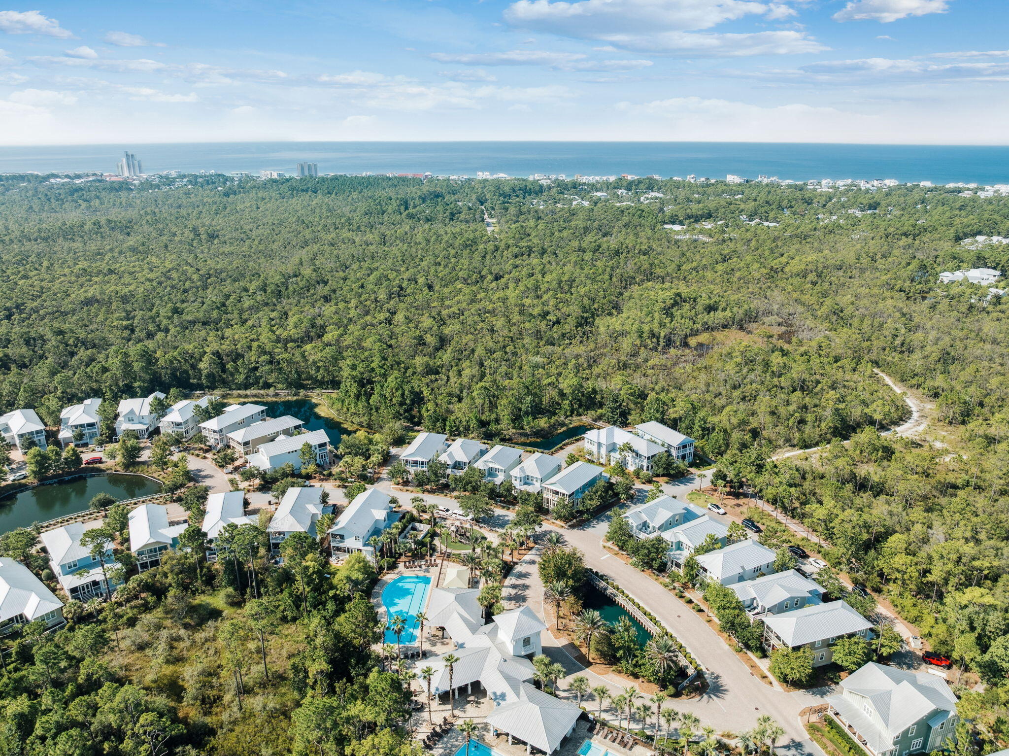 844 Sandgrass Boulevard Santa Rosa Beach, FL 32459 - Photo 58 of 74 Drone