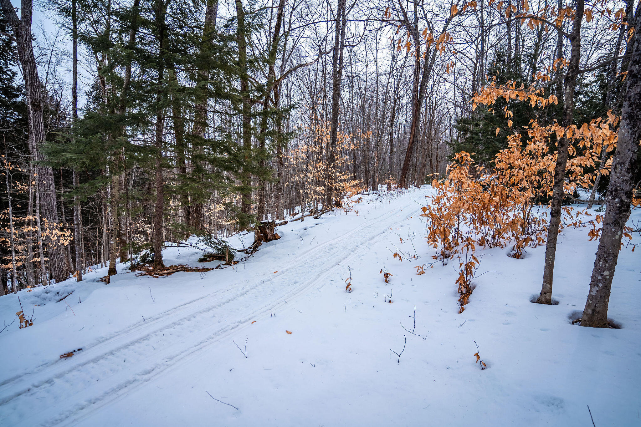 M5-l28 Stow Road Stow, ME 04037 - Photo 31 of 32 Trail on northern border