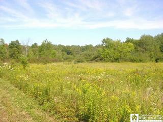 Dean Road Stockton, NY 14784 - Photo 1 of 1