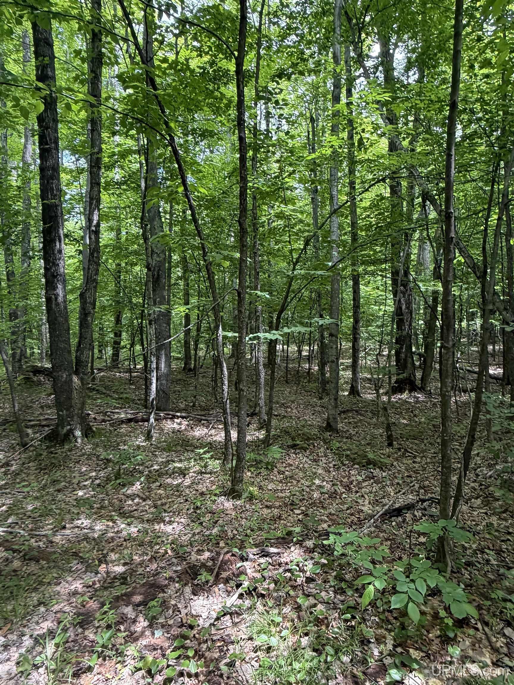 Tbd20 Skanee Road Skanee, MI 49962 - Photo 18 of 26