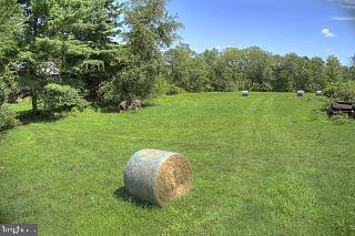 295 Hollow Horn Road Pipersville, PA 18947 - Photo 15 of 20