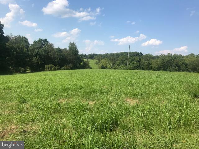 295 Hollow Horn Road Pipersville, PA 18947 - Photo 5 of 20
