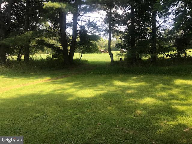 295 Hollow Horn Road Pipersville, PA 18947 - Photo 6 of 20